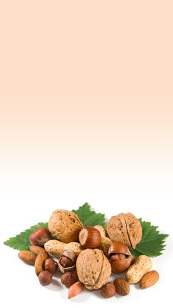 Picture of a mixture of hazelnuts peanuts walnuts or hazelnut leaves on a white backgroundの写真素材