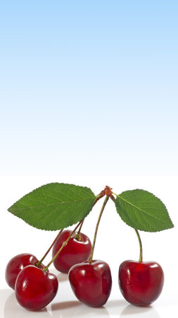 Image of red cherry berries with leaves on a blue backgroundの写真素材