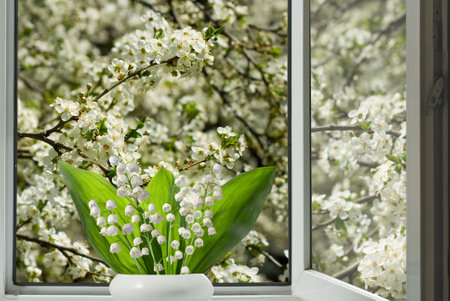 Image of beautiful white flowers of lilies of the valley against the background of an open window...