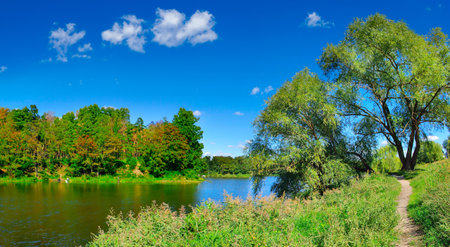 Image of a river with trees on its banks and a blue sky with cloudsの写真素材