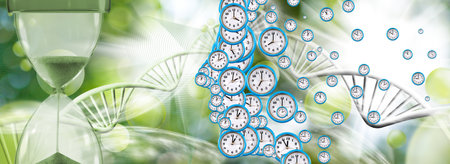image of the contour of a person's face, consisting of watch dials of different sizes, and at the...