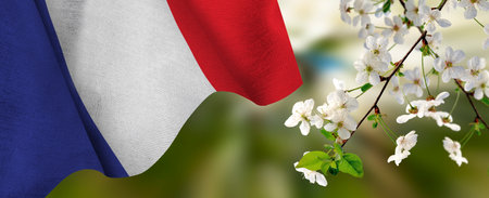 Image of the flag of France waving in the wind and beautiful festive colorsの写真素材