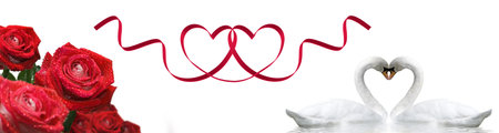 Romantic banner. Two swans form a heart shape with their necksの写真素材