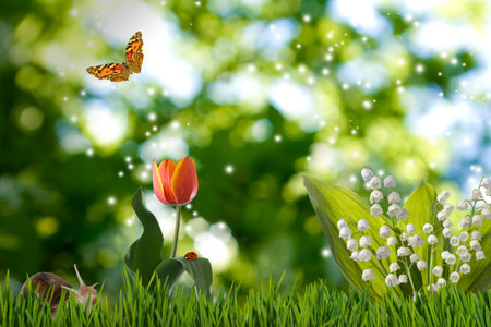 A colorful meadow scene with a butterfly, tulip, and lily of the valley against a bright, sunny...