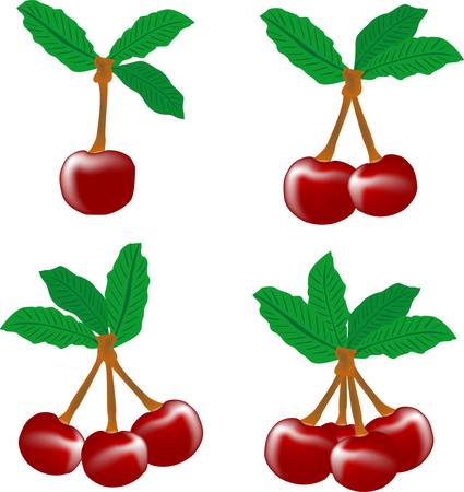 perfect sweet cherries with the leaf isolated on white backgroundのイラスト素材