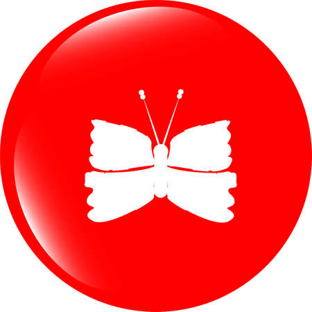 Butterfly Icon on Internet Button isolated on whiteの写真素材