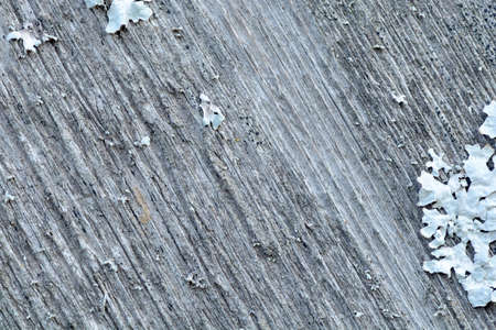 Wooden swirls organic background texture