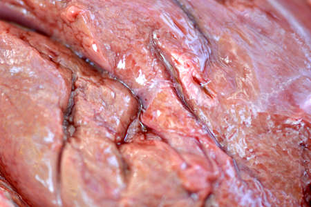macro raw liver with bloodの写真素材