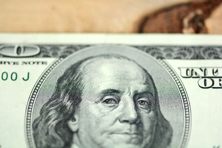 Hundreds of US dollars on old wooden plank