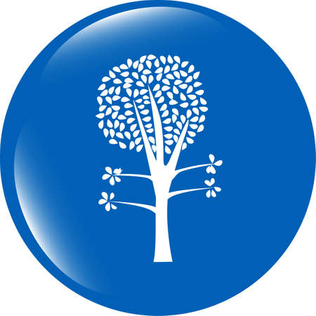 tree on icon button isolated on whiteの写真素材