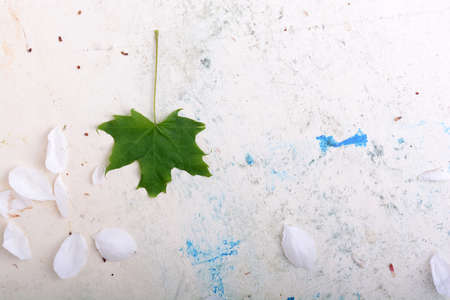 ornate floral background and green leafの写真素材