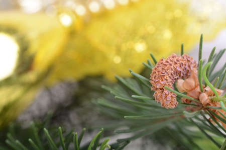 Image of Christmas tree branch with golden material, festive border, New Year greeting card, magic night, glowing backdrop, xmas decoration, holiday ornamentの写真素材