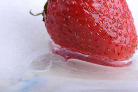 Close up of strawberry frozen in iceの写真素材