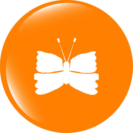 Butterfly Icon on Internet Button . Flat sign isolated on white backgroundの写真素材