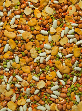 Plenty of colorful beans, soyas, lentilles and other peas.