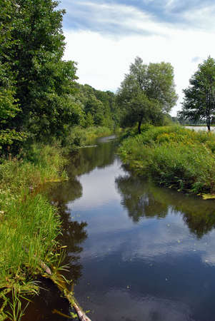 Small river coast on the edge of forest. Summer time