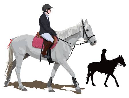White race horse and lady jockey in uniform. Detailed color  illustration.のイラスト素材