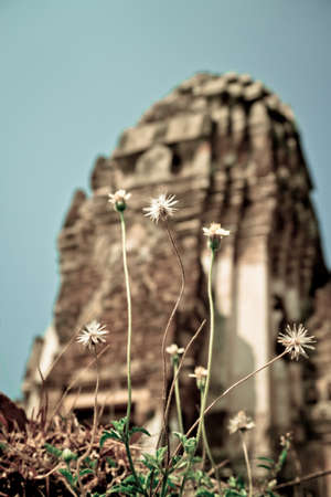 The Retro Churchの写真素材