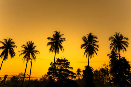 Sunset of Summerの写真素材