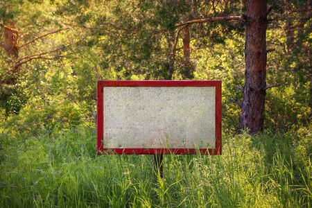 Old blank signboard in the woodsの写真素材
