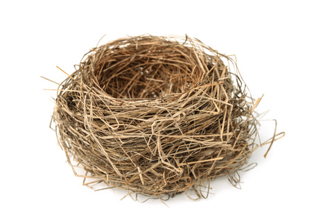 Empty bird nest isolated on white