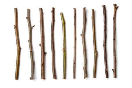 Row of dry wooden twigs isolated on whiteの写真素材