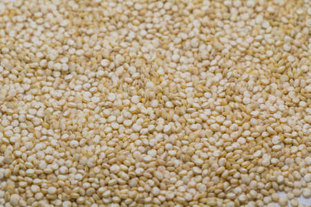 white quinoaの写真素材
