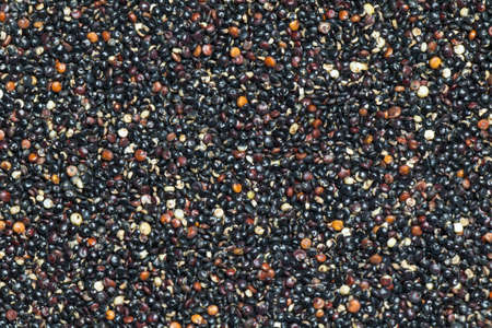 Black quinoa as a texture backgroundの写真素材