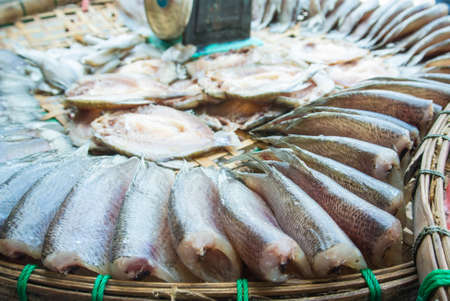 dried fish display many kind of fish such as gourami,sanke head fishの写真素材