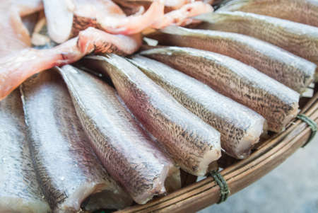 dried fish display many kind of fish such as gourami,sanke head fishの写真素材