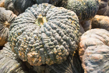 pumpkin pileの写真素材