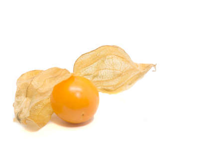 cape gooseberry on white backgroundの写真素材