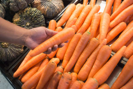 carrot in hand ,choose healthy conceptsの写真素材