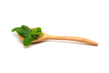 mint leaf on wooden spoon on white background