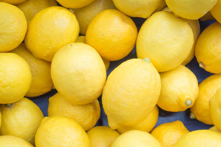 lemonsの写真素材