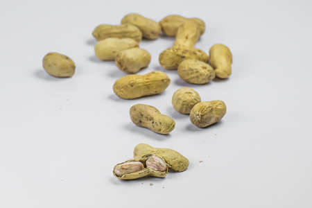 Nut Isolated on white backgroundの写真素材