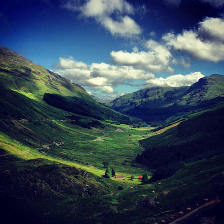 Highland Scotlandの素材