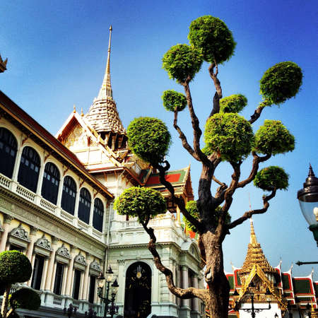 Grand palaceの素材