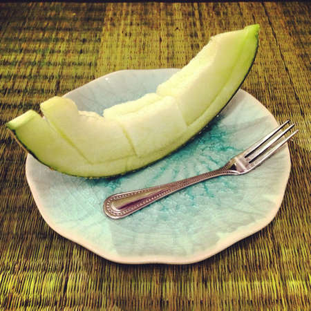 A piece of melonの素材