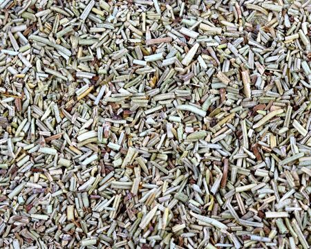 Macro shot of dried rosemary leavesの写真素材