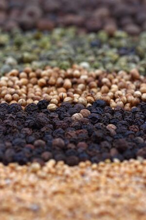 Close-up of pepper, mustard and coriander spicesの写真素材
