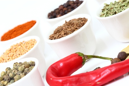 Selection of spices on white bowlsの写真素材