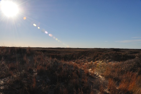 Mescalaro Sands, New Mexico in the late afternoonの写真素材