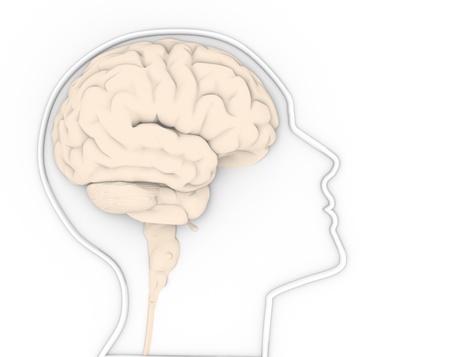  Human head with brain  This is a 3d render illustration 