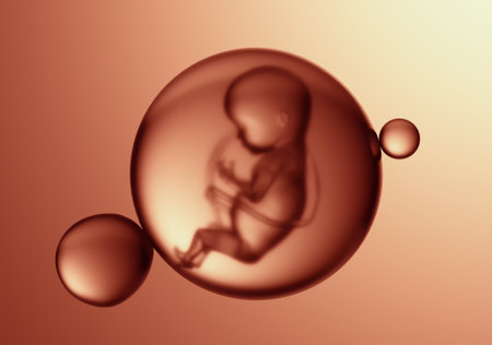 Fetus inside a sphere. Fertility and science concept. This is a 3d render illustration.の写真素材