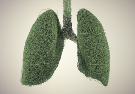 Lungs made of green wires. Complexity and organic growth concept. This is a 3d render illustration.の写真素材