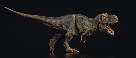 Tyrannosaurus Rex on black background. This is a 3d render illustrationの写真素材
