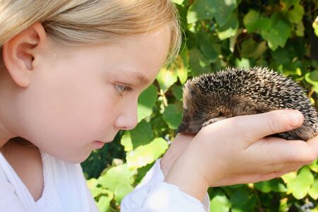 Blond, young girl with a hedgehog in her hands. Tey are looking eachother in their eyes.の写真素材