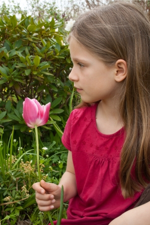 A girl with pink tulipの写真素材