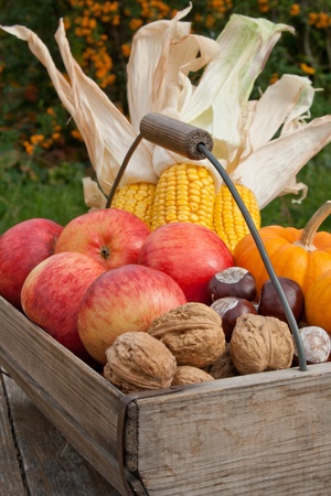 basket with apples, pumpkins, nuts and cornの写真素材